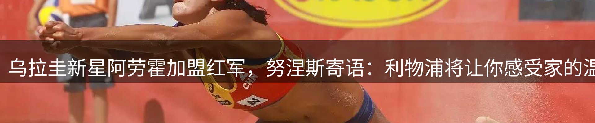 今日动态