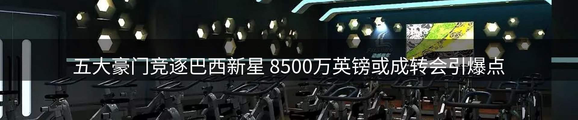 今日动态