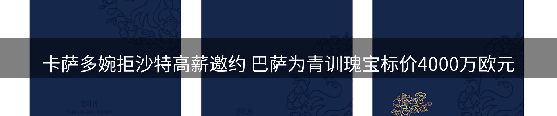 今日动态