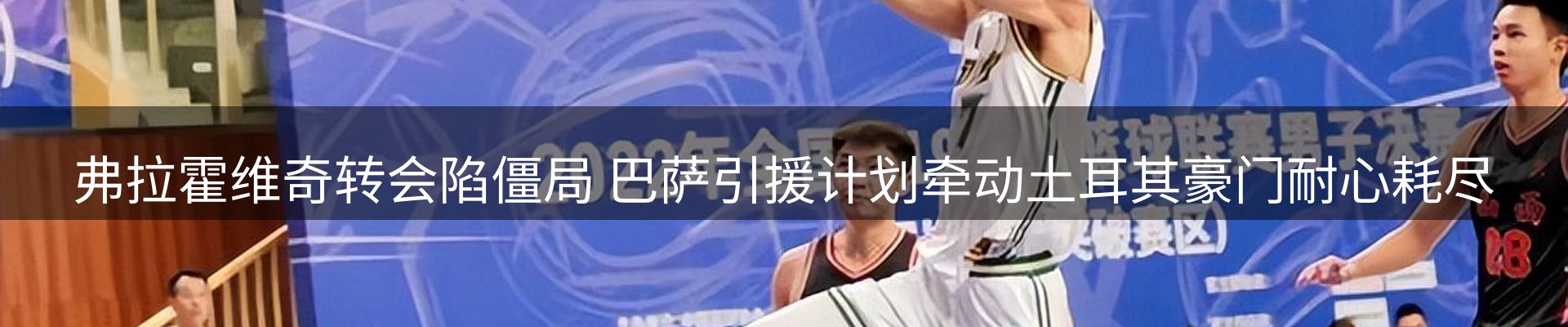 今日动态