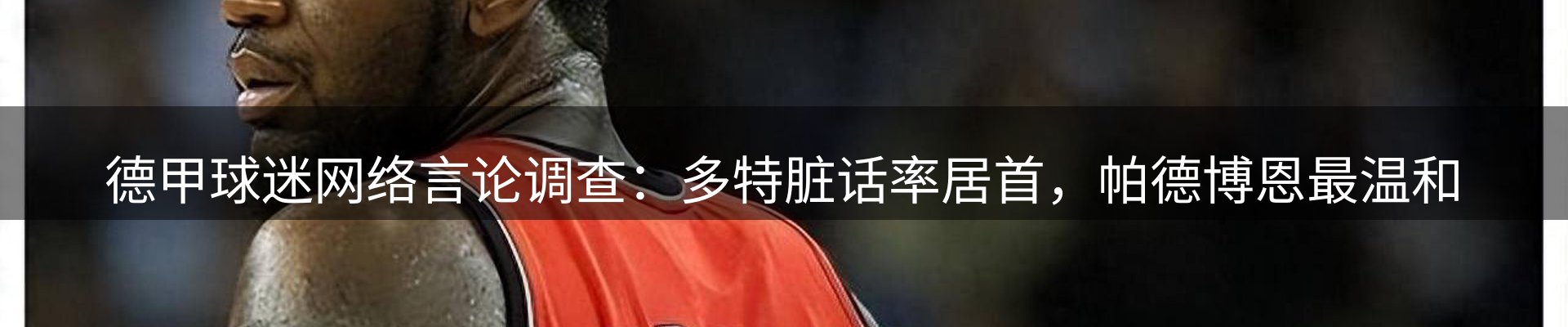 今日动态
