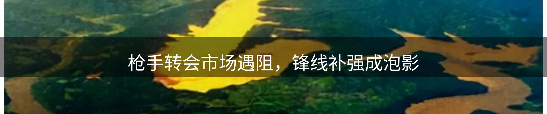 今日动态