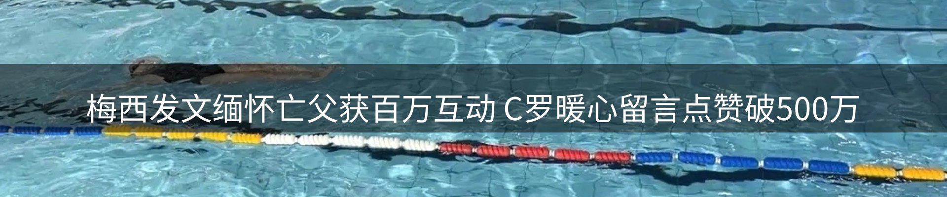 今日动态