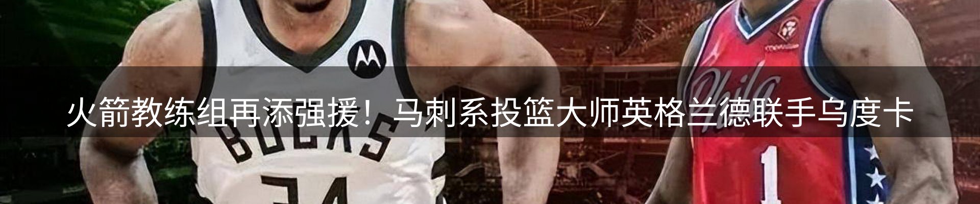 今日动态