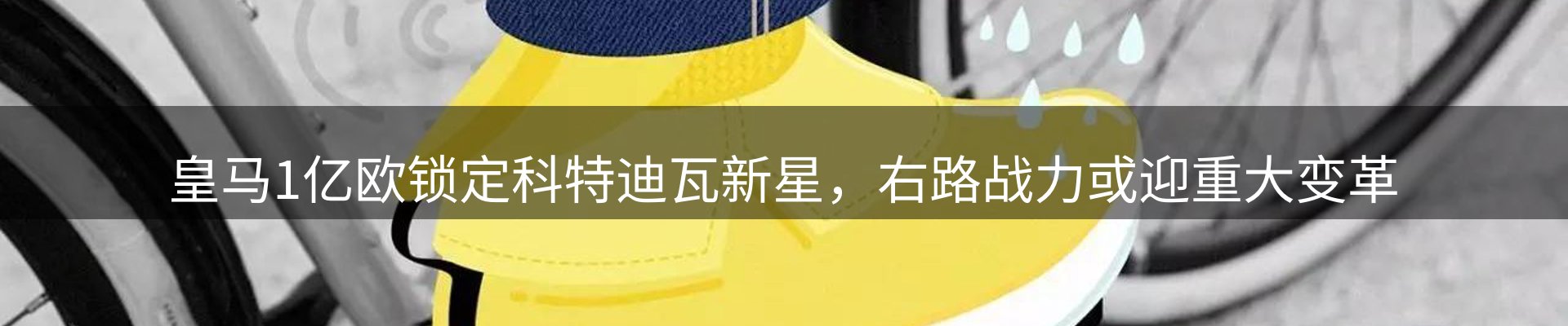 今日动态