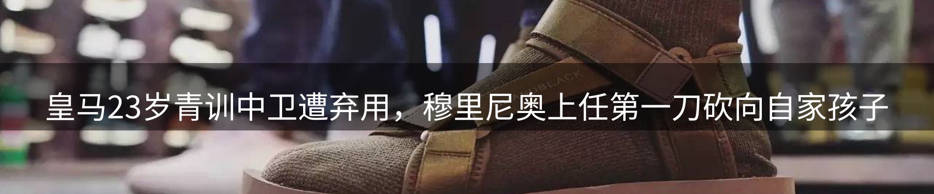今日动态