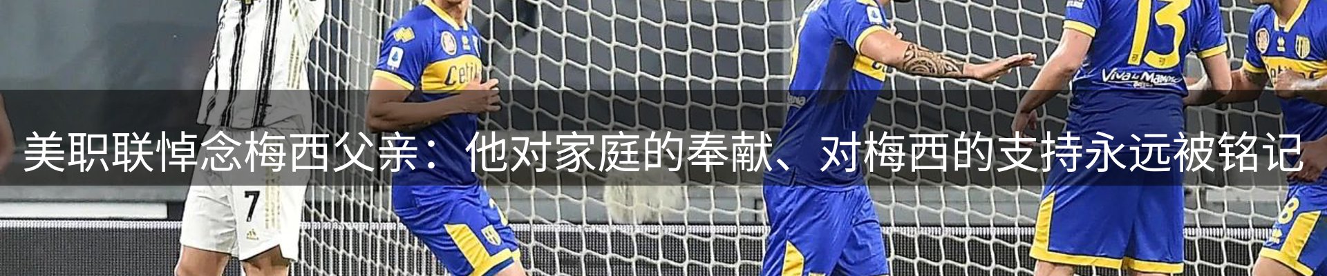 今日动态