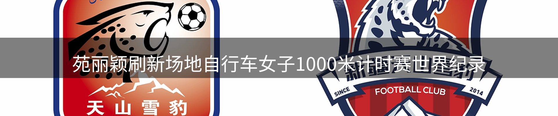 今日动态