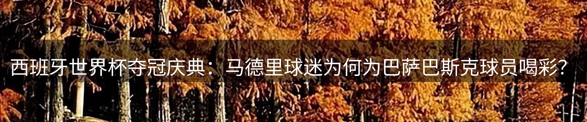 今日动态