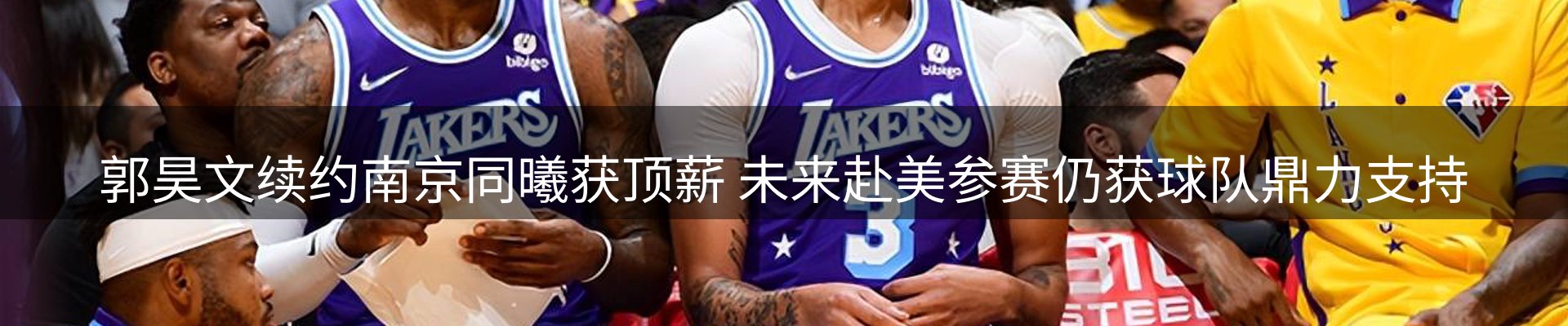 今日动态