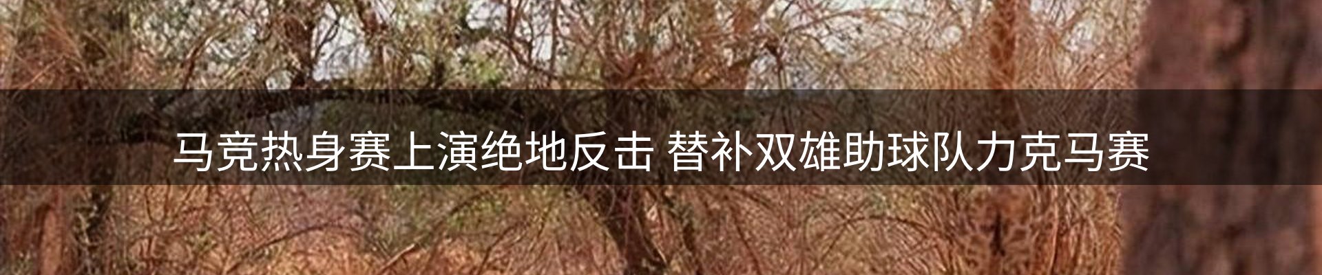 今日动态